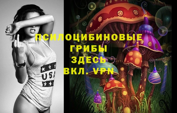 прущий лед Алексин