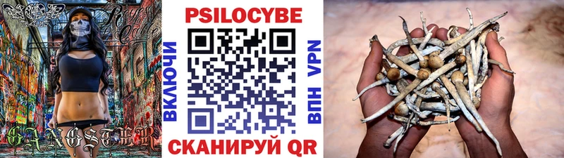 Галлюциногенные грибы Psilocybe  Шацк 